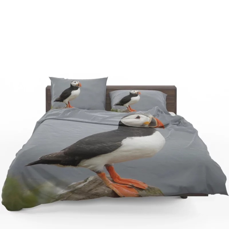 Puffin Icelandic Encounter Coastal Watcher Bedding Set