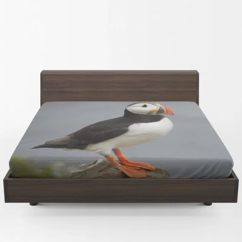 Puffin Icelandic Encounter Coastal Watcher Fitted Sheet