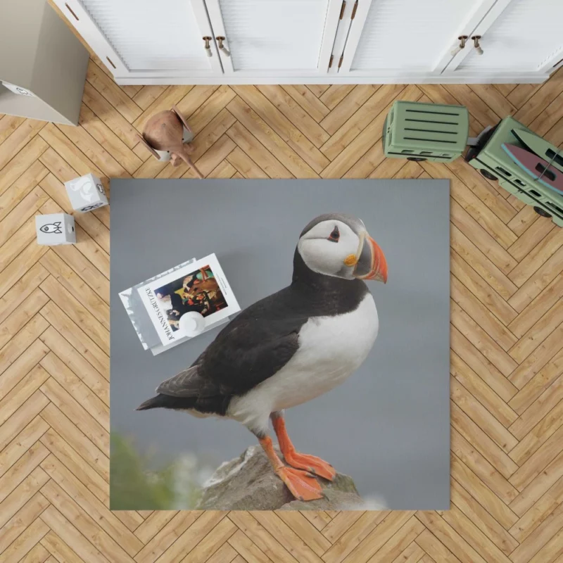 Puffin Icelandic Encounter Coastal Watcher Rug