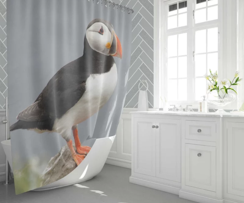 Puffin Icelandic Encounter Coastal Watcher Shower Curtain 1