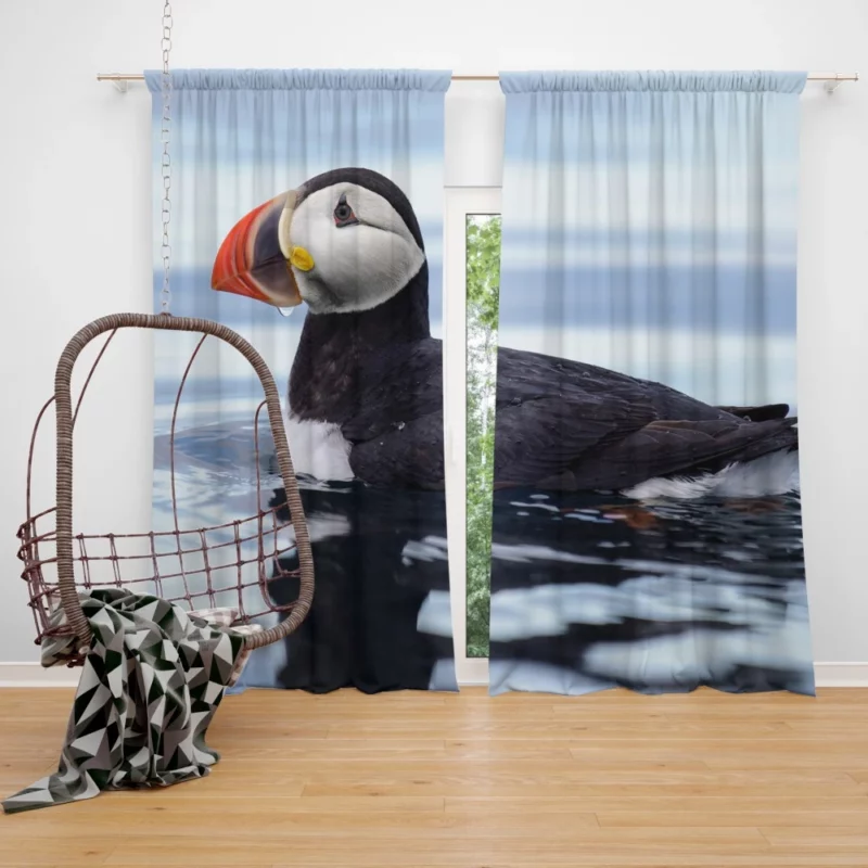 Puffin Reflective Pose Coastal Watcher Curtain