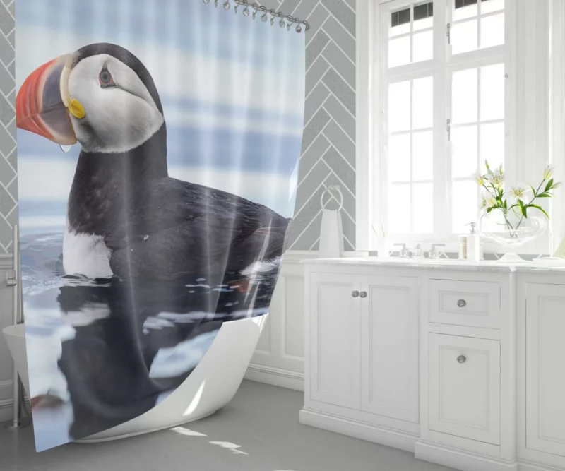 Puffin Reflective Pose Coastal Watcher Shower Curtain 1