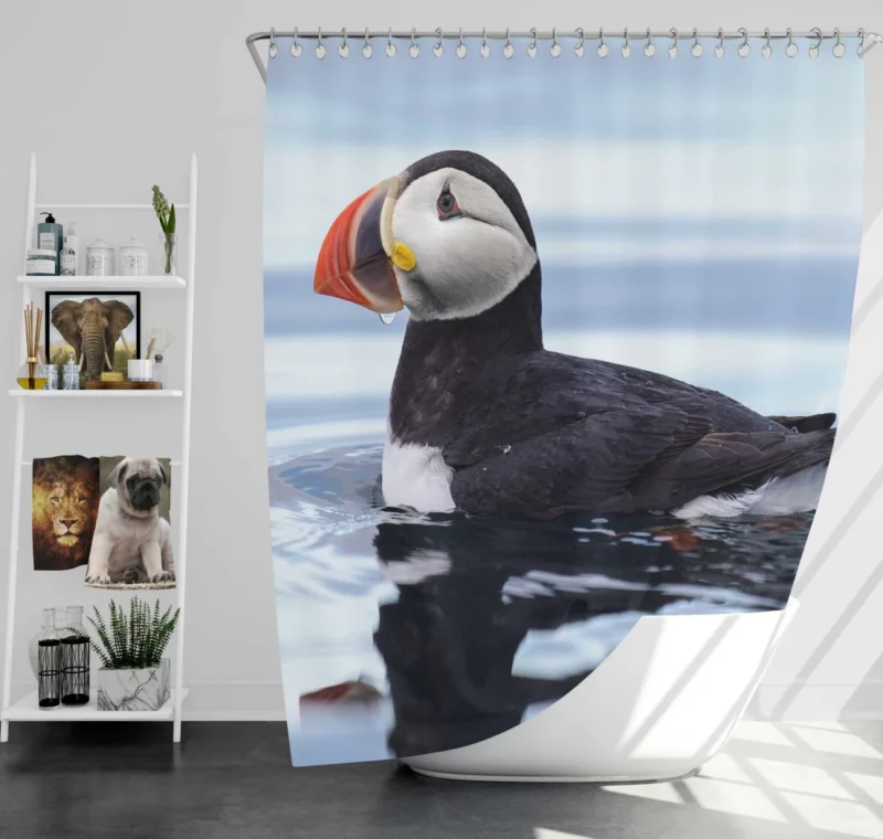 Puffin Reflective Pose Coastal Watcher Shower Curtain