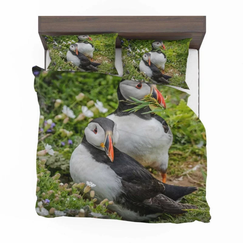 Puffin Whimsical Stance Coastal Watcher Bedding Set 1