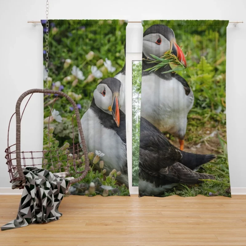 Puffin Whimsical Stance Coastal Watcher Curtain