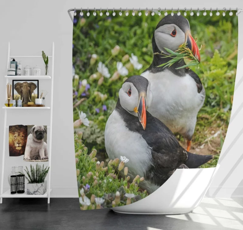 Puffin Whimsical Stance Coastal Watcher Shower Curtain