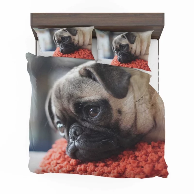 Pug Adorable Muzzle Canine Charm Bedding Set 1