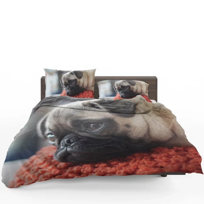 Pug Adorable Muzzle Canine Charm Bedding Set