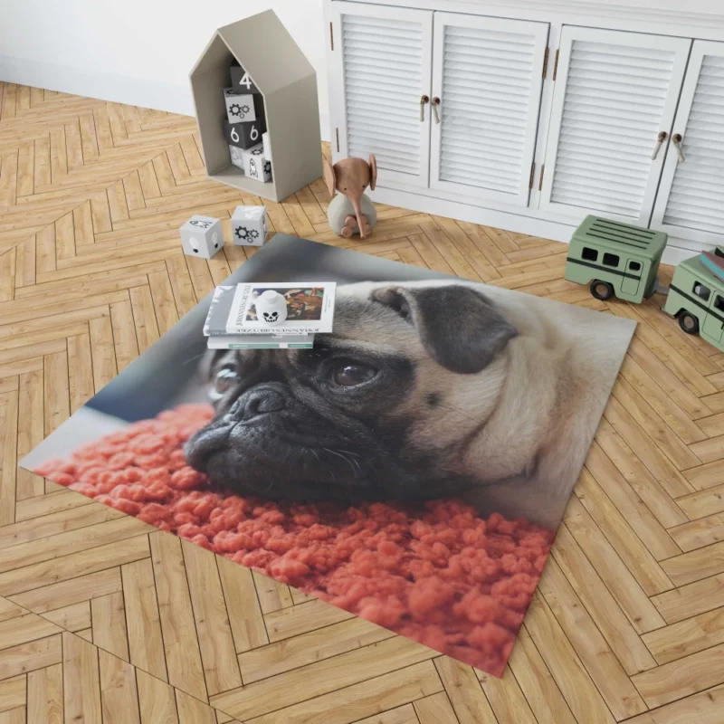 Pug Adorable Muzzle Canine Charm Rug 1