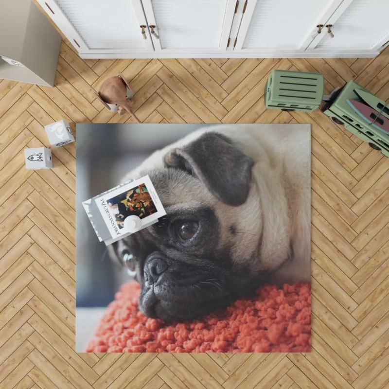 Pug Adorable Muzzle Canine Charm Rug