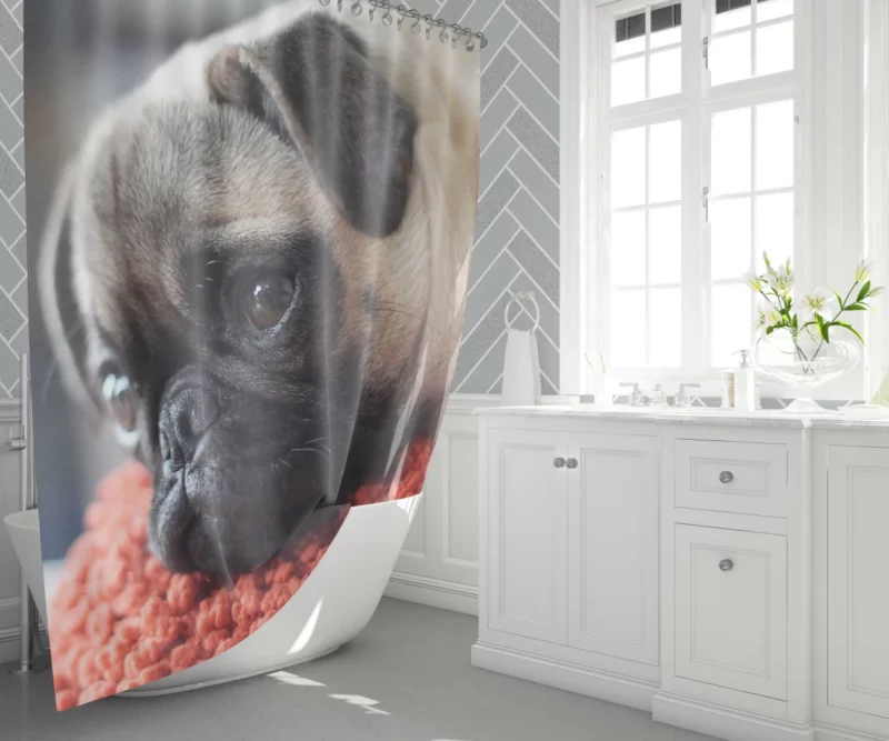 Pug Adorable Muzzle Canine Charm Shower Curtain 1