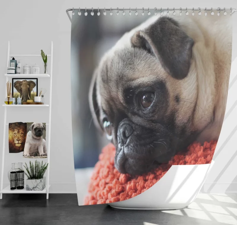 Pug Adorable Muzzle Canine Charm Shower Curtain