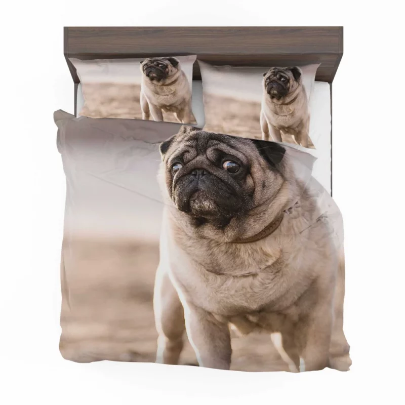 Pug Charm in Depth Bedding Set 1