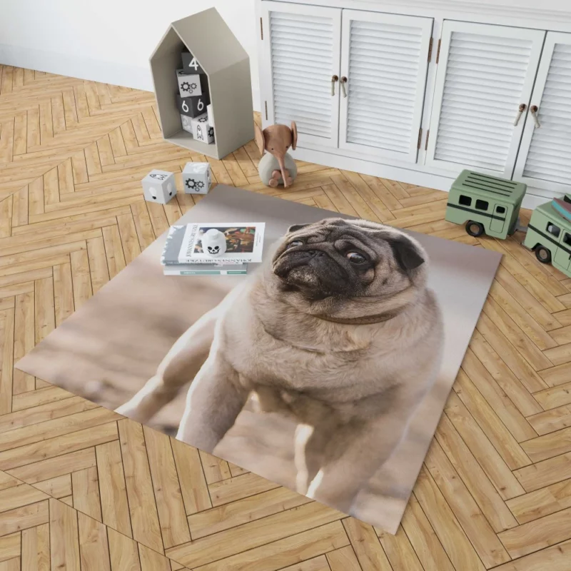 Pug Charm in Depth Rug 1