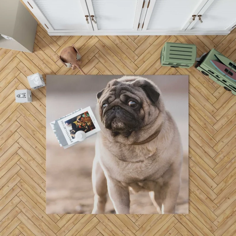 Pug Charm in Depth Rug