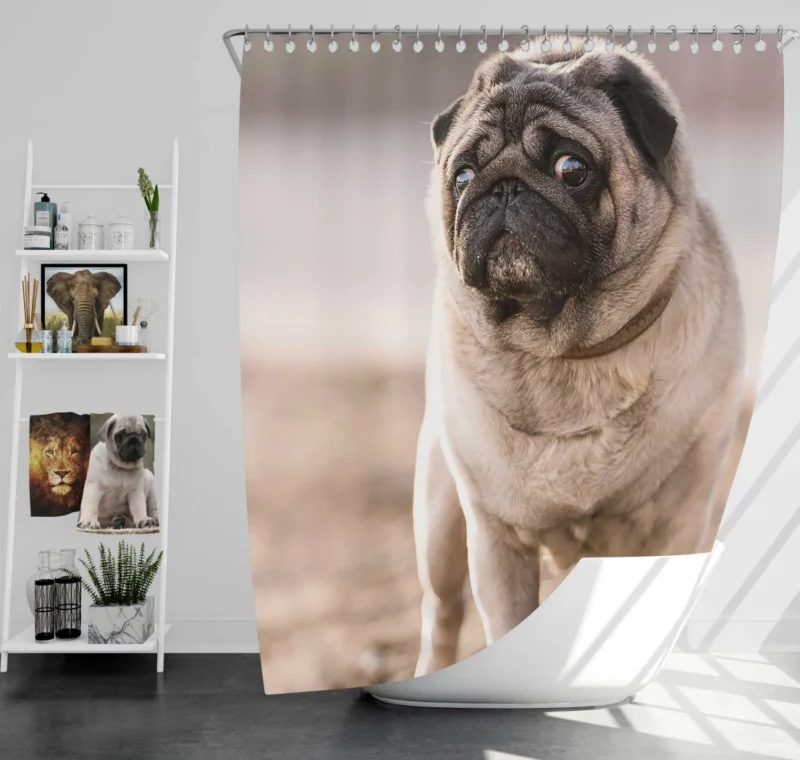 Pug Charm in Depth Shower Curtain