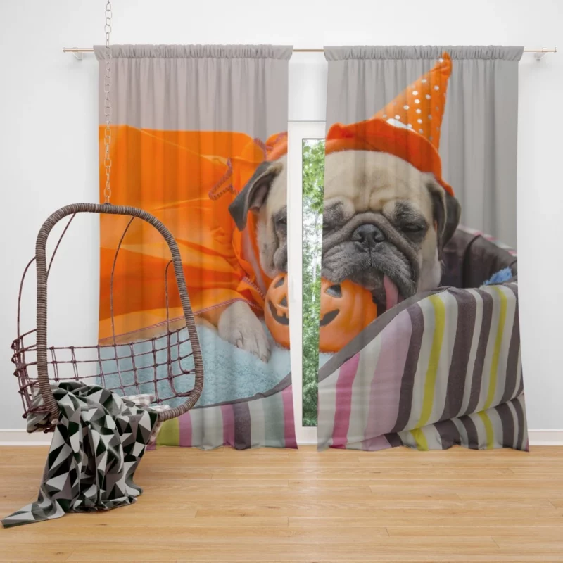 Pug Halloween Fun Furry Festivities Curtain