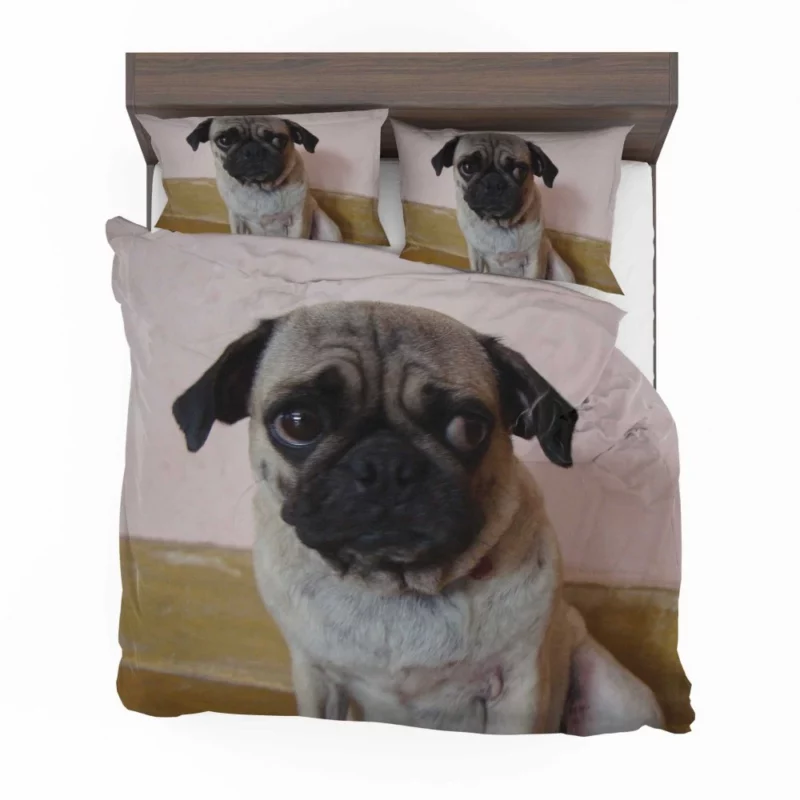 Pug Innocence Heartwarming Charm Bedding Set 1