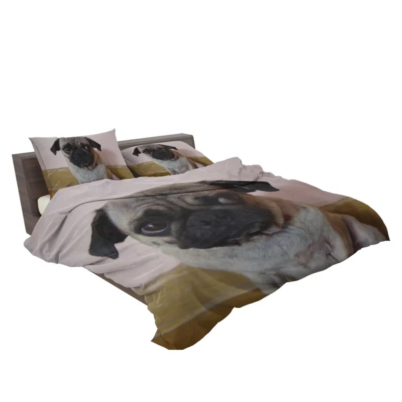 Pug Innocence Heartwarming Charm Bedding Set 2