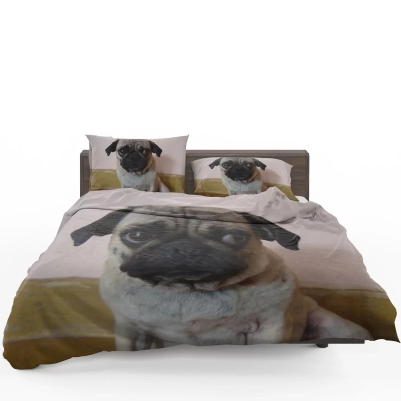 Pug Innocence Heartwarming Charm Bedding Set