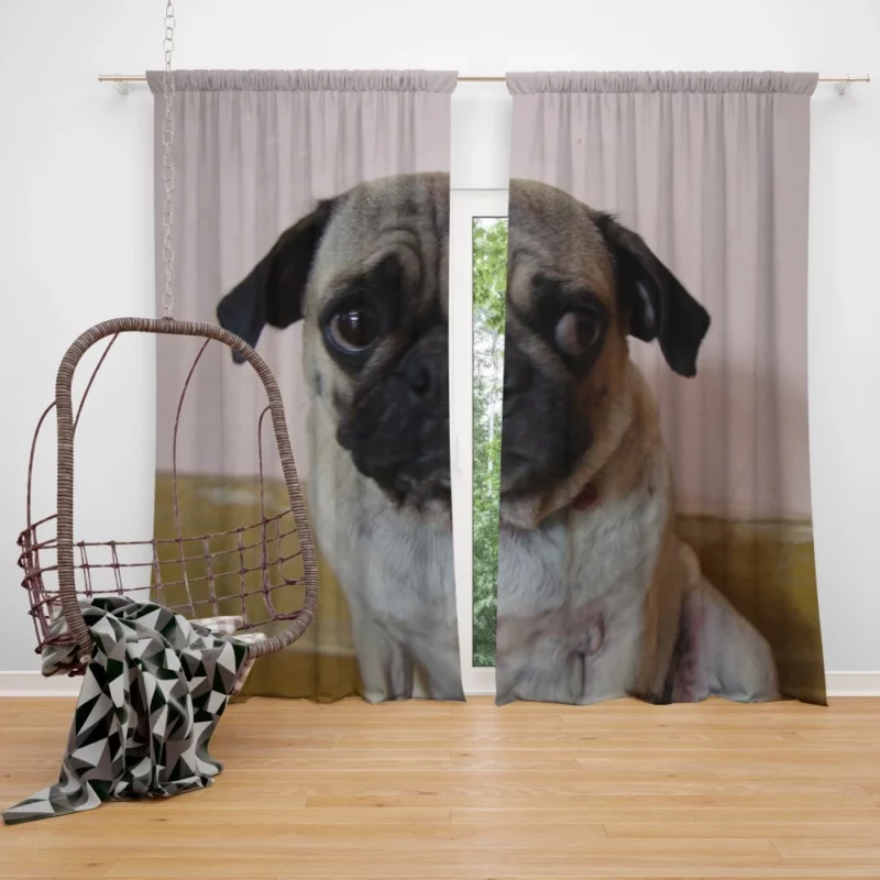 Pug Innocence Heartwarming Charm Curtain