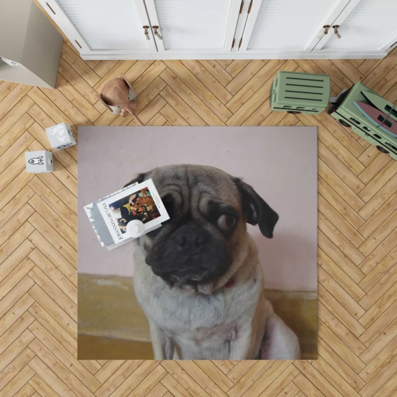 Pug Innocence Heartwarming Charm Rug