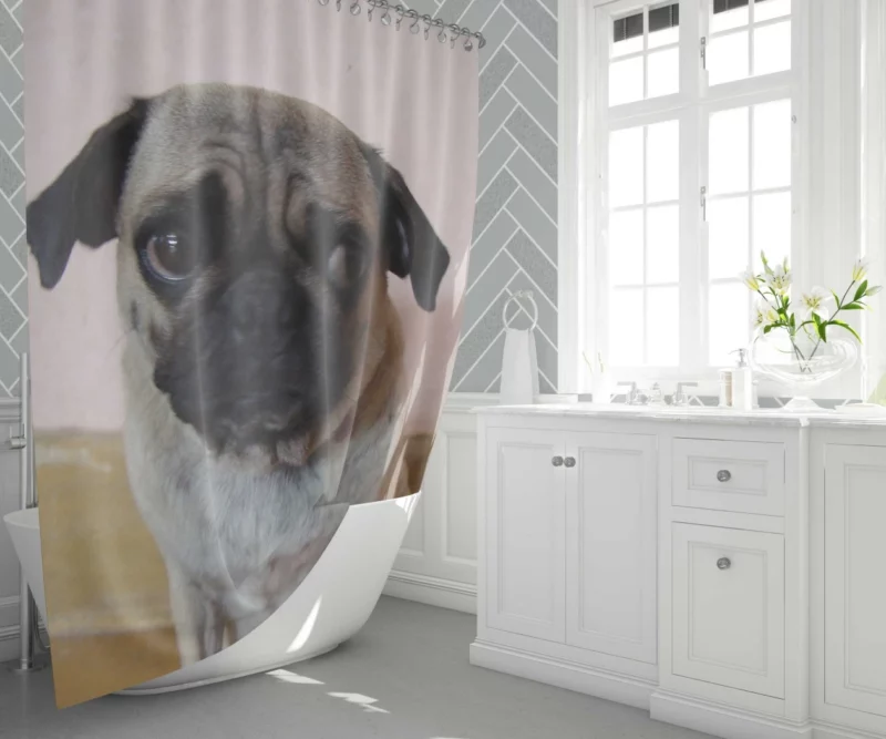 Pug Innocence Heartwarming Charm Shower Curtain 1