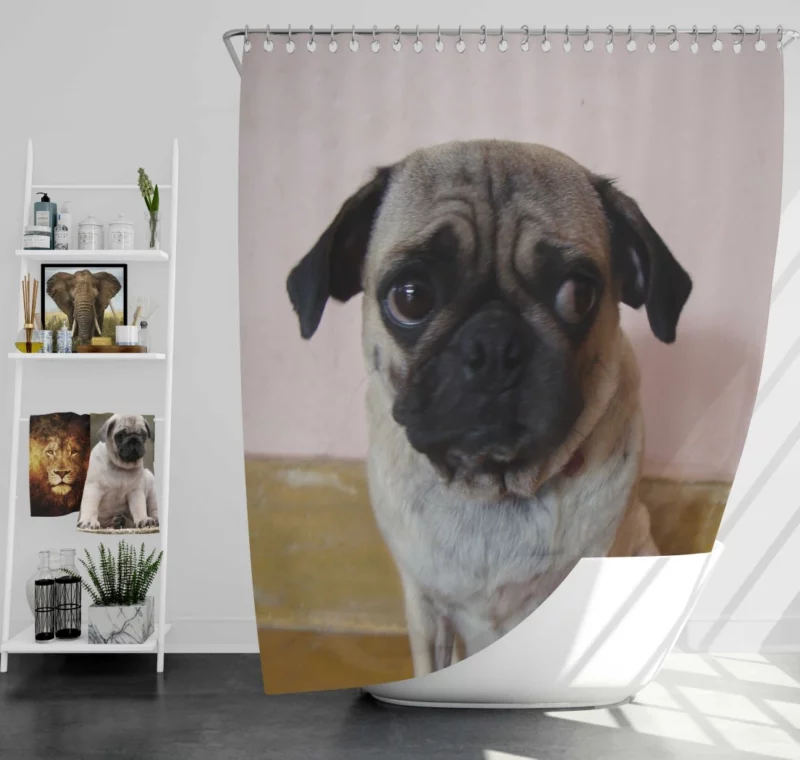 Pug Innocence Heartwarming Charm Shower Curtain