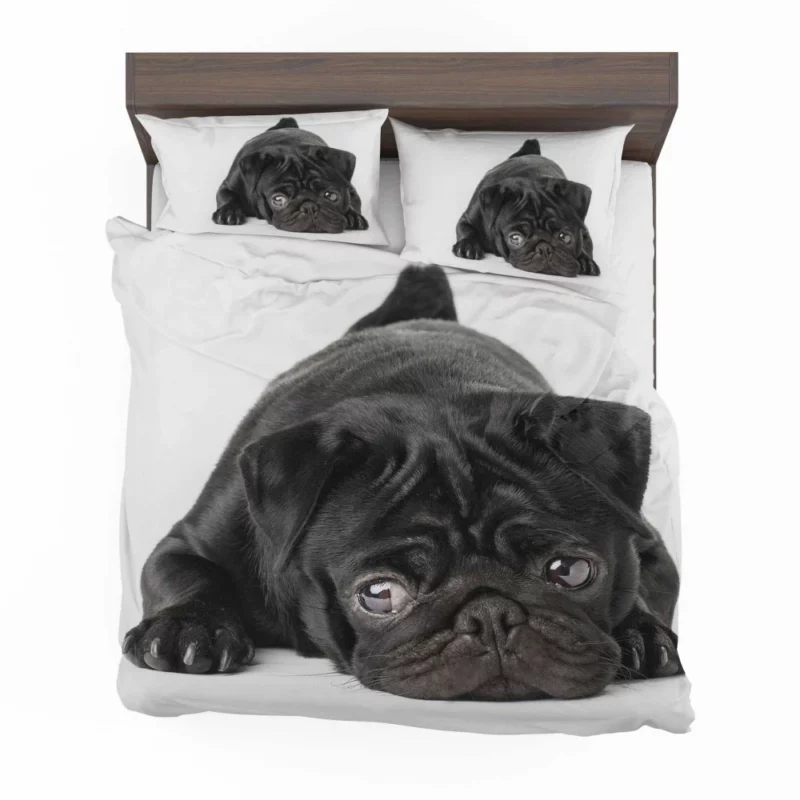 Pug Innocent Eyes Bedding Set 1