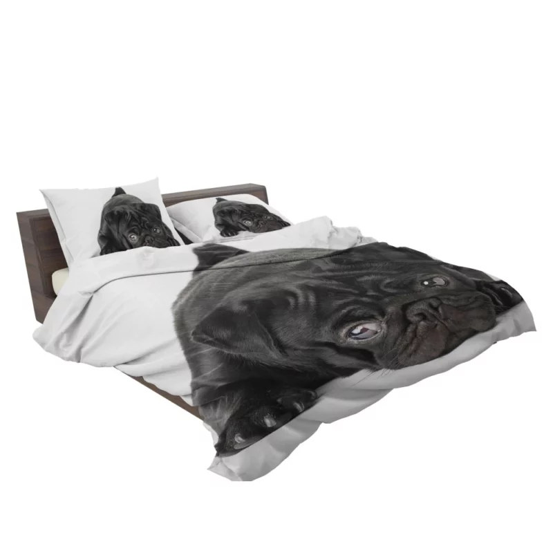 Pug Innocent Eyes Bedding Set 2