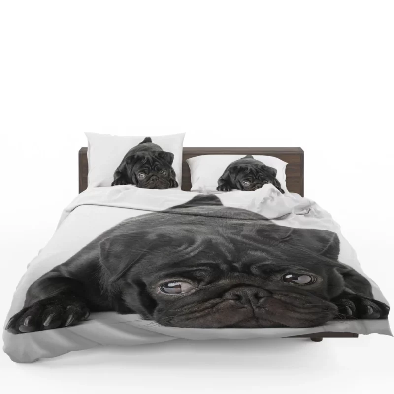 Pug Innocent Eyes Bedding Set