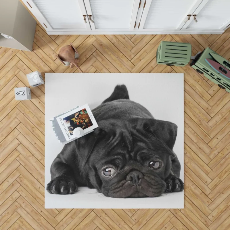 Pug Innocent Eyes Rug