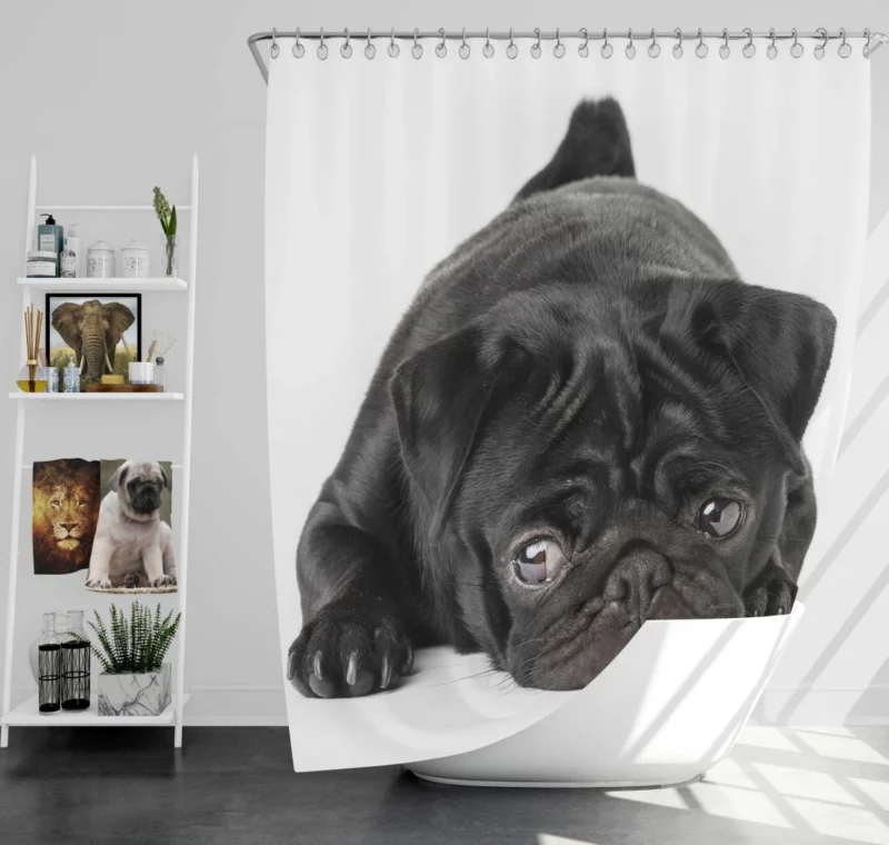 Pug Innocent Eyes Shower Curtain