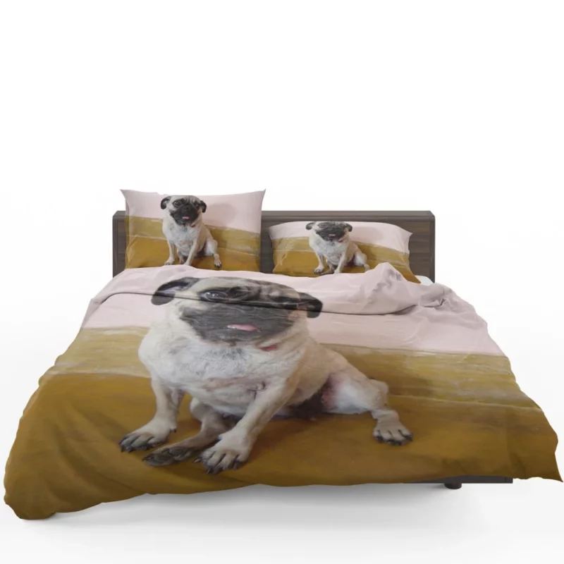 Pug Playful Adorable Dog Bedding Set