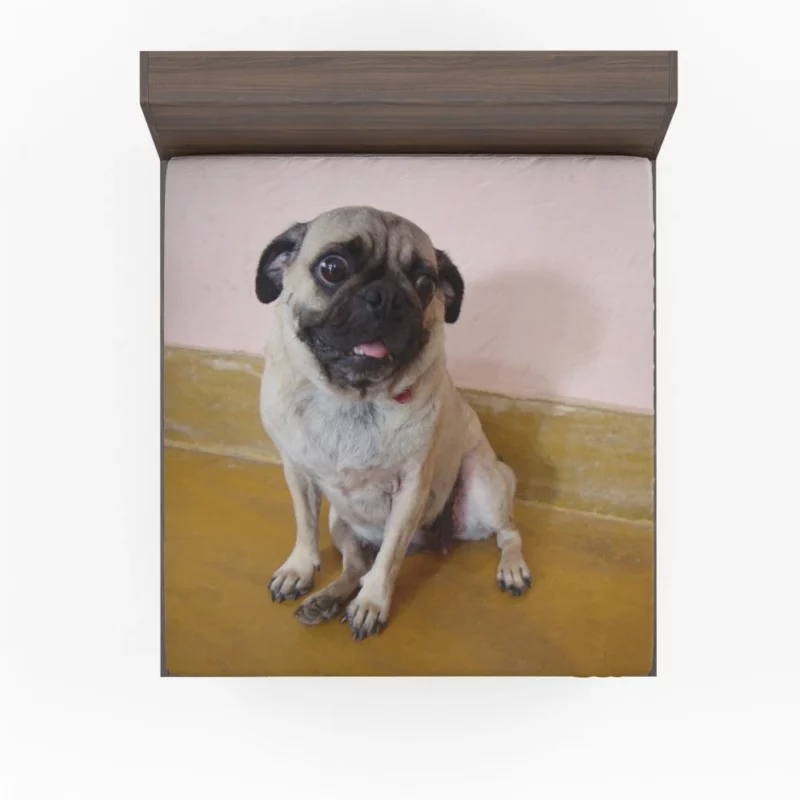 Pug Playful Adorable Dog Fitted Sheet 1