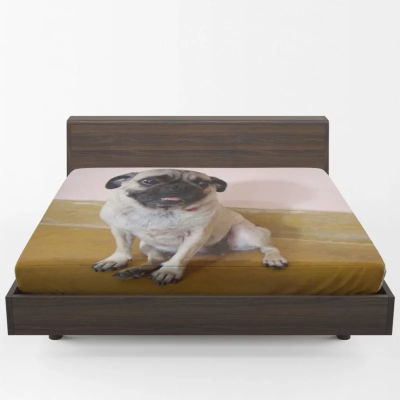 Pug Playful Adorable Dog Fitted Sheet