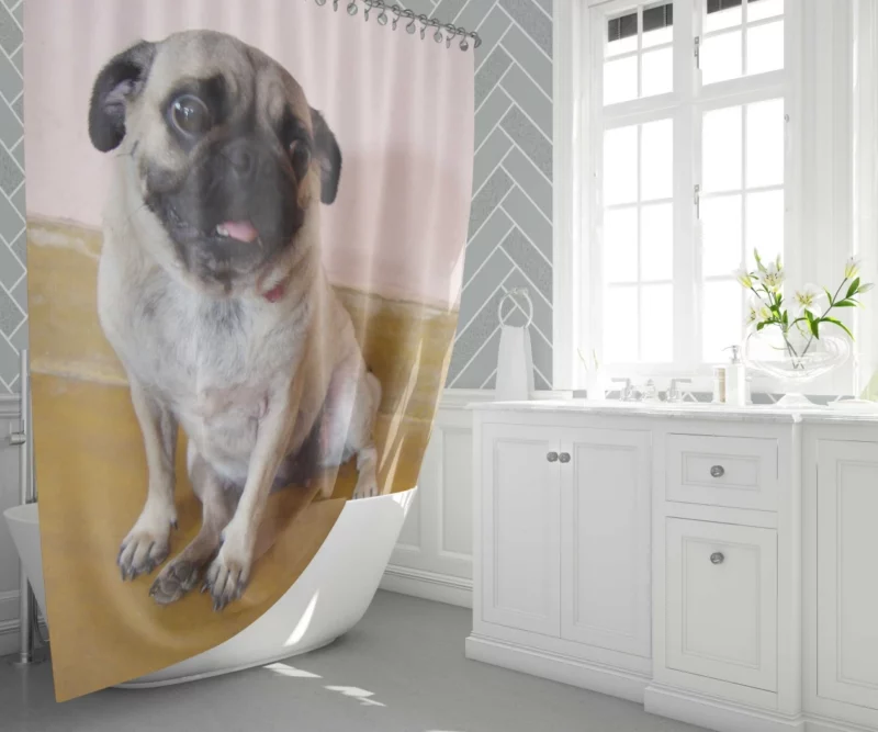 Pug Playful Adorable Dog Shower Curtain 1