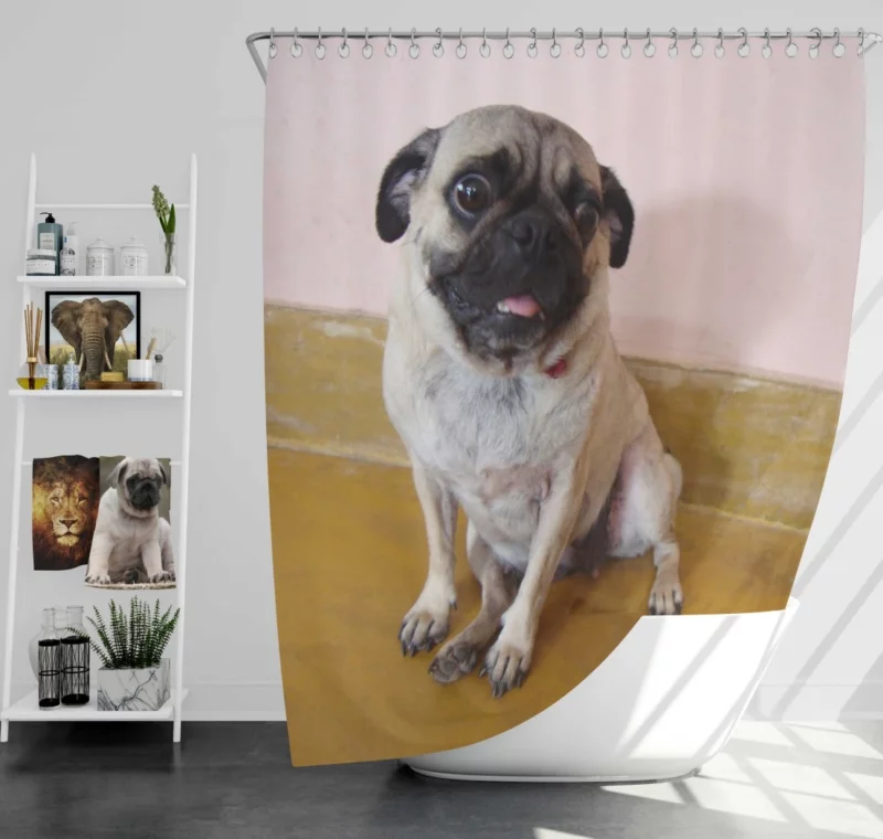 Pug Playful Adorable Dog Shower Curtain