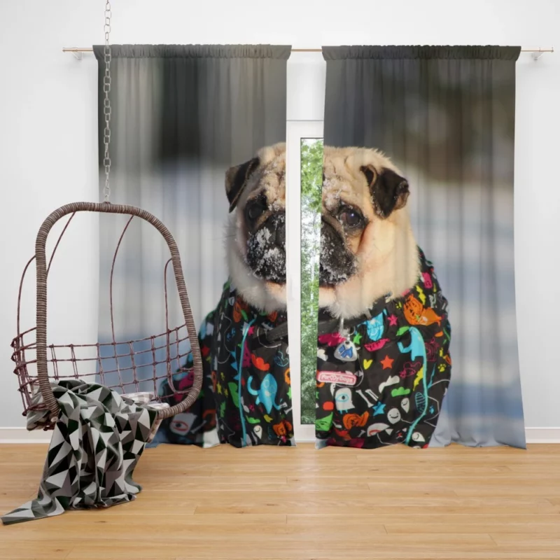 Pug Playful Antics Curtain