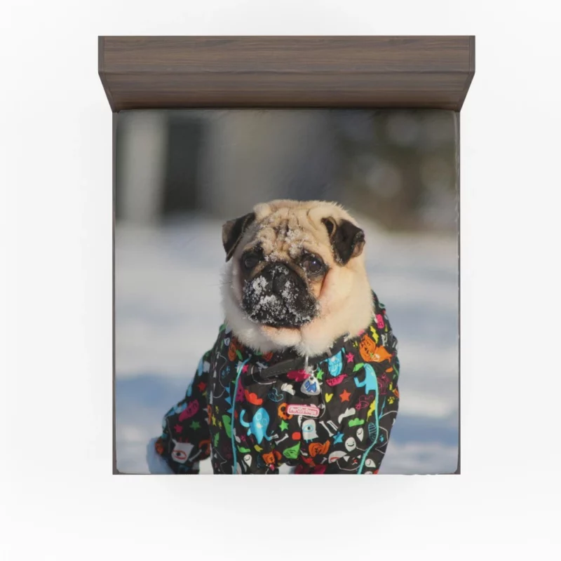 Pug Playful Antics Fitted Sheet 1