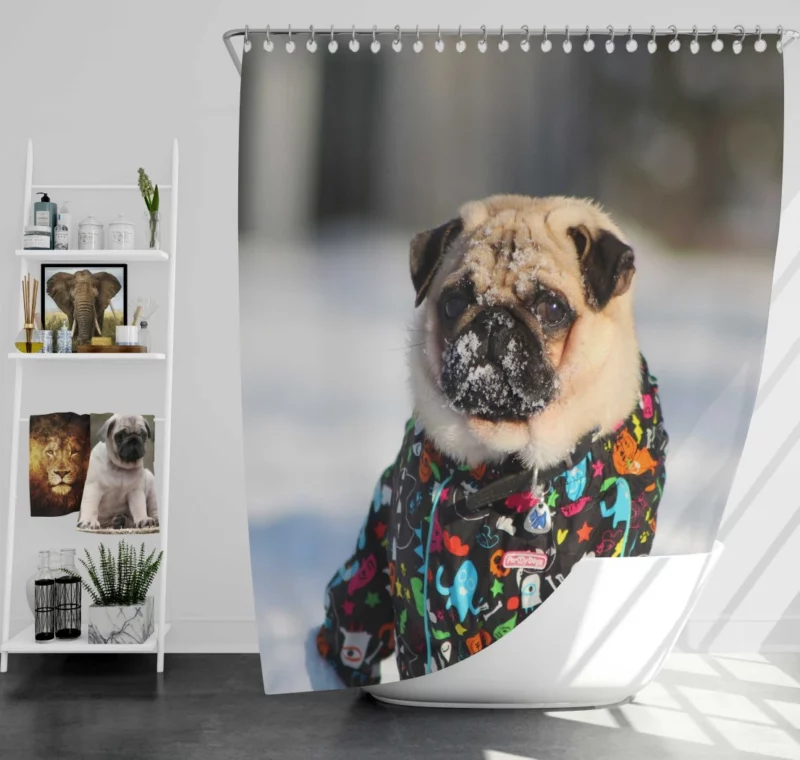 Pug Playful Antics Shower Curtain