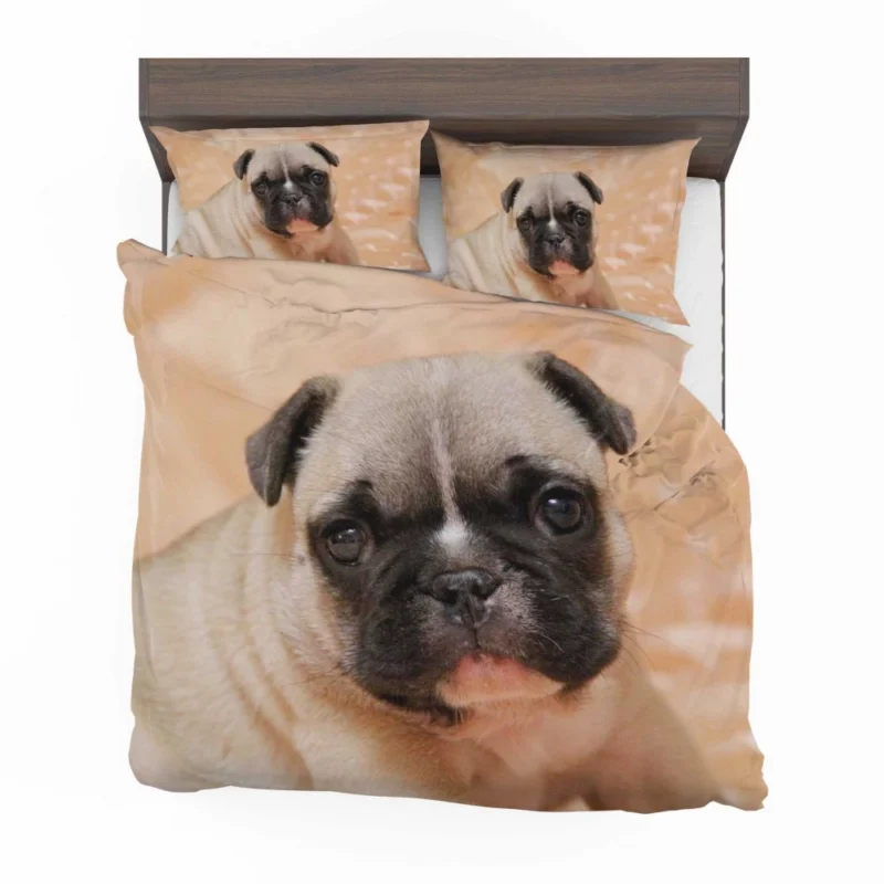 Pug Playful Charm Endearing Companion Bedding Set 1