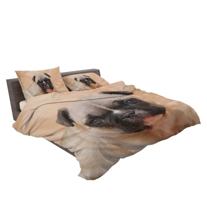 Pug Playful Charm Endearing Companion Bedding Set 2