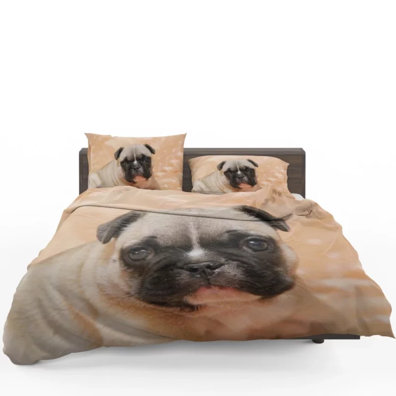 Pug Playful Charm Endearing Companion Bedding Set