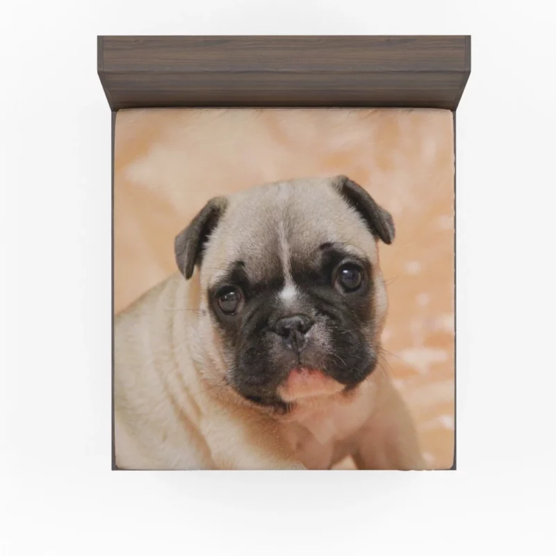 Pug Playful Charm Endearing Companion Fitted Sheet 1