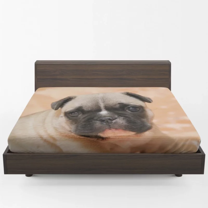 Pug Playful Charm Endearing Companion Fitted Sheet