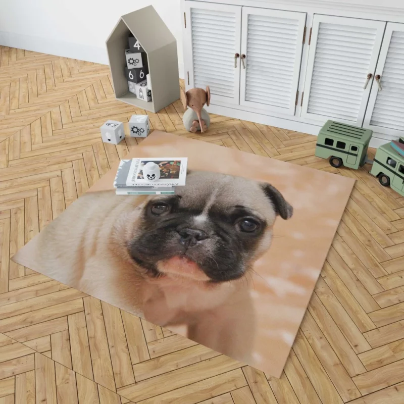 Pug Playful Charm Endearing Companion Rug 1