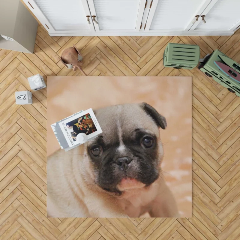 Pug Playful Charm Endearing Companion Rug