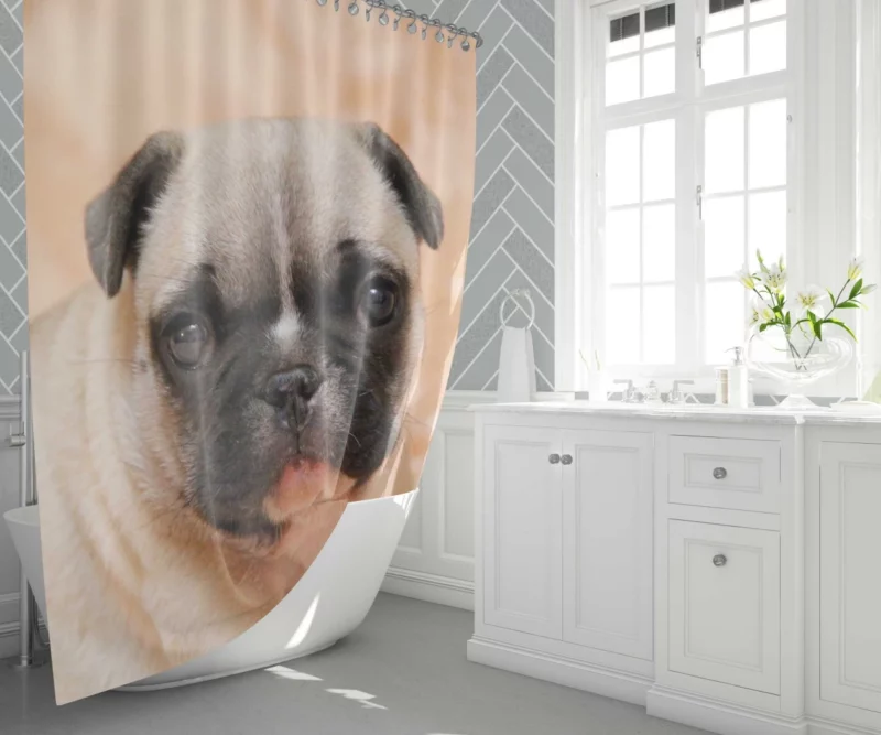 Pug Playful Charm Endearing Companion Shower Curtain 1