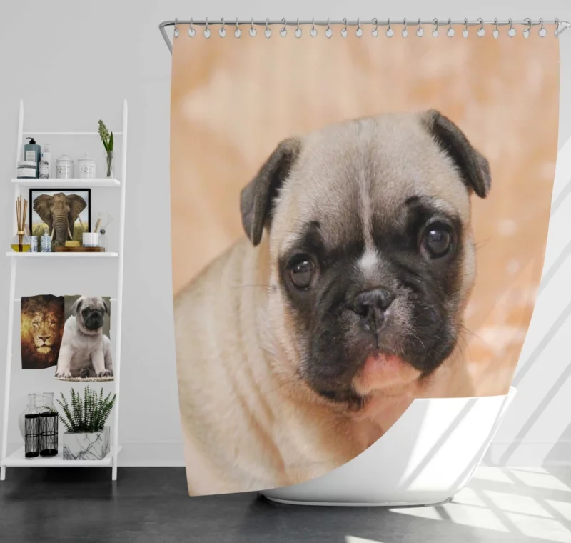 Pug Playful Charm Endearing Companion Shower Curtain